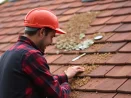 Limpieza de musgo en tejados en Pamplona 31001 y mantenimiento de canalones